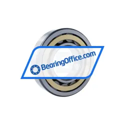 FAG NU319-E-XL-M1-F1-C4 rulman resim 2