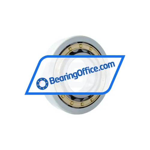 FAG NU322-E-XL-M1-J20AA-C3