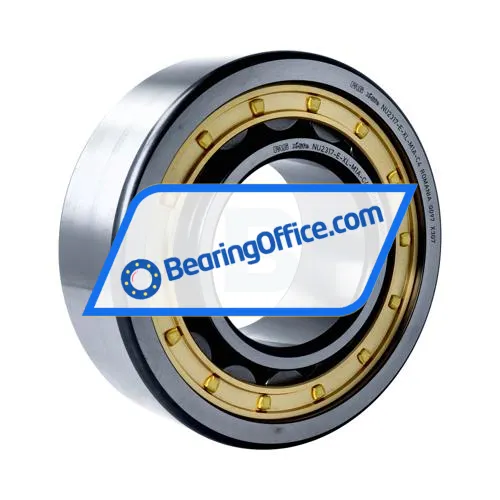 FAG NUP317-E-XL-M1-C3