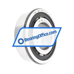 FAG NUP311-E-XL-TVP2-C4