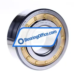 FAG NUP2313-E-XL-M1A-C3