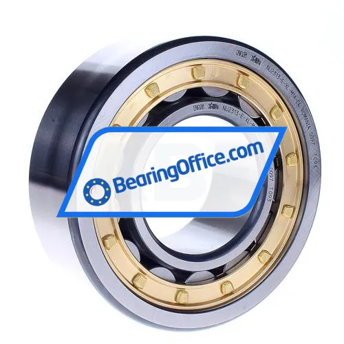 FAG NU2313-E-XL-M1A-C4