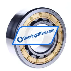 FAG NU2313-E-XL-M1A-C4