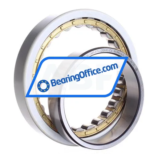 FAG NU1018-XL-M1-F1-J20AA-C4 bearing image 3