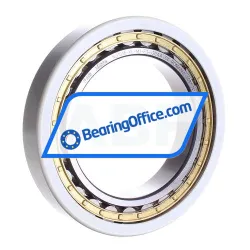 FAG NU1018-XL-M1-F1-J20AA-C4