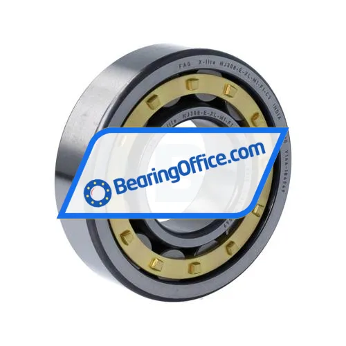 FAG NJ308-E-XL-M1-F1-C3