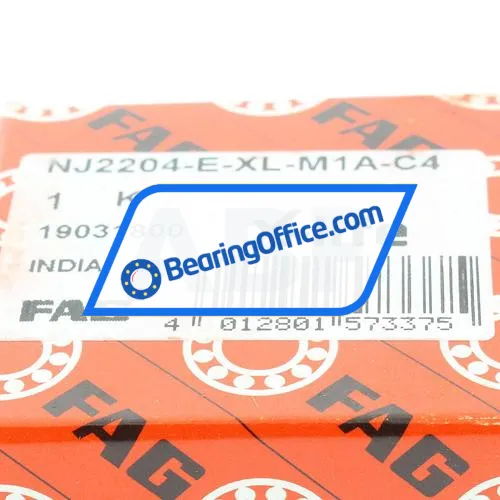 FAG NJ2204-E-XL-M1A-C4 bearing image 7