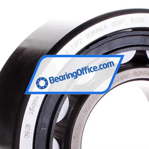 FAG NU2315-E-XL-K-TVP2 bearing image 2