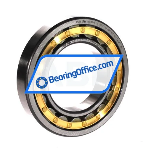 FAG NU217-E-XL-M1-F1-C4