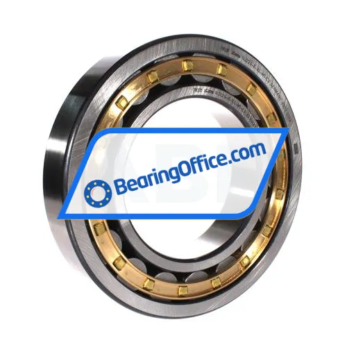 FAG NJ224-E-XL-M1-C3