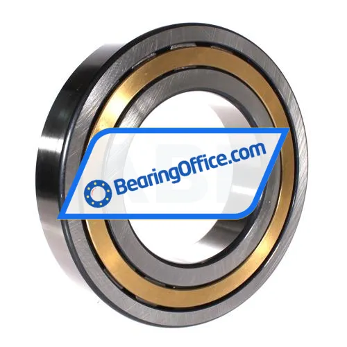 FAG NJ224-E-XL-M1-C3 bearing image 2