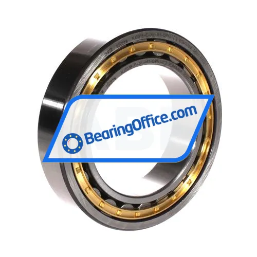 FAG NJ2018-E-XL-M1-QP51-C3