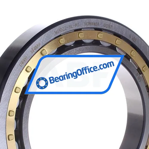FAG NJ1022-XL-M1 bearing image 2