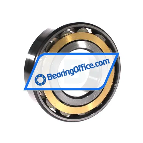 FAG N313-E-XL-M1-C3 bearing image 2