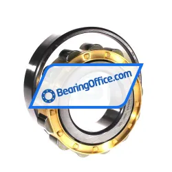 FAG N313-E-XL-M1-C3 rulman resim 3