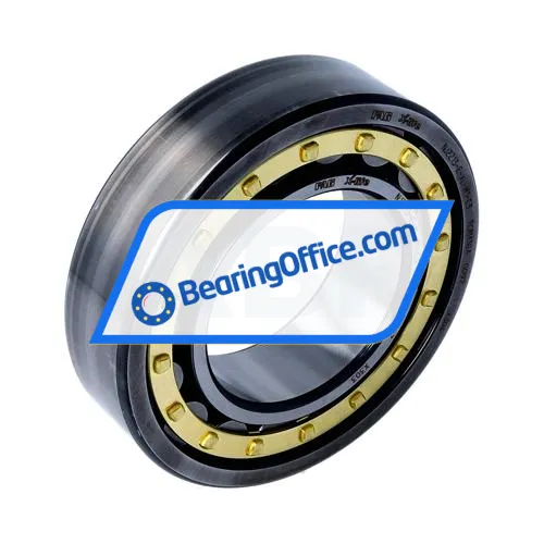 FAG NJ2213-E-XL-M1-C3