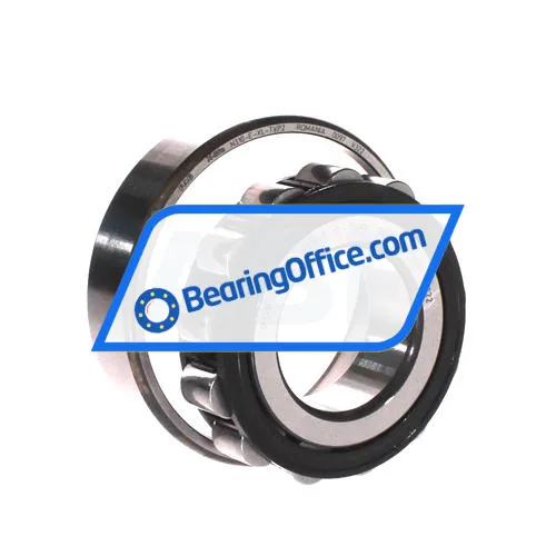 FAG N310-E-XL-TVP2 bearing image 3