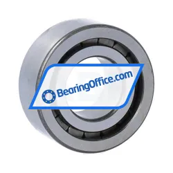 INA SL18-3004A rulman resim 2