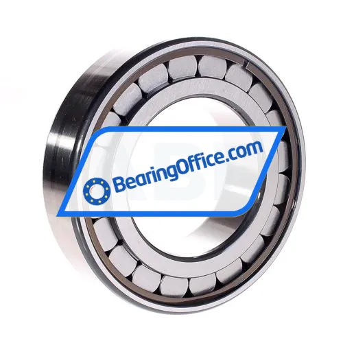 INA SL182219-A-C3 bearing image 2