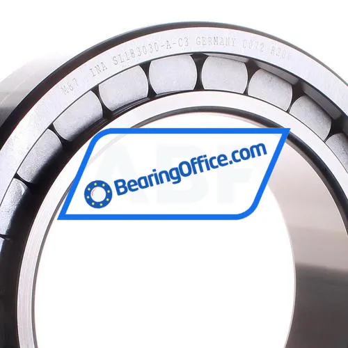 INA SL183030-A-C3 bearing image 2