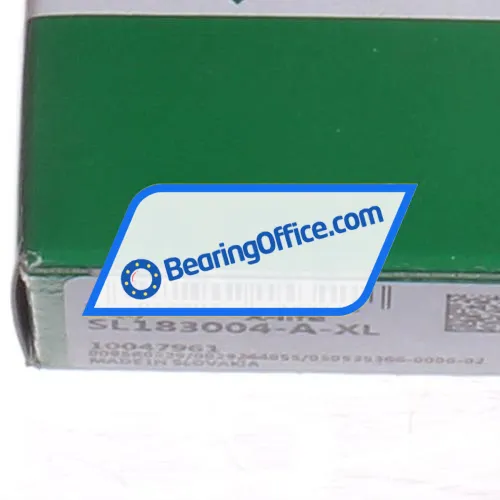 INA SL183004-A-XL bearing image 5