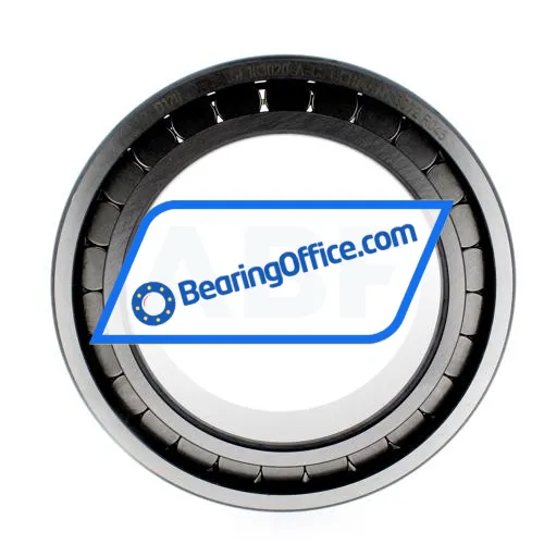 INA SL183020-A-C3 bearing image 2