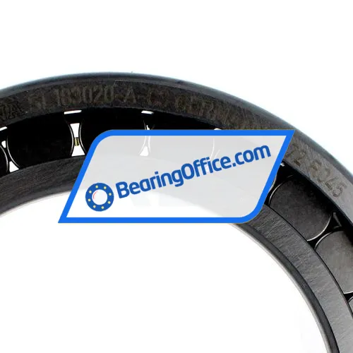 INA SL183020-A-C3 bearing image 3