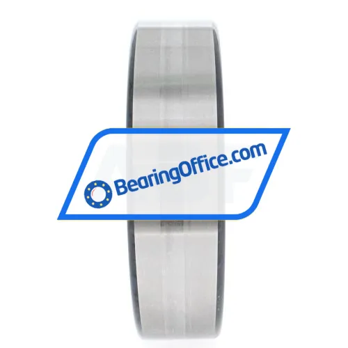 INA SL183020-A-C3 bearing image 4