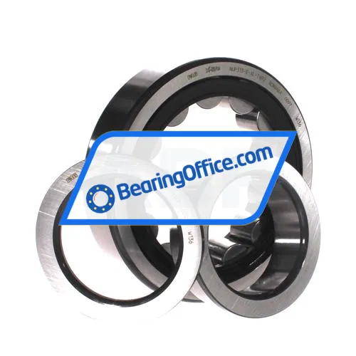 FAG NUP313-E-XL-TVP2 bearing image 3