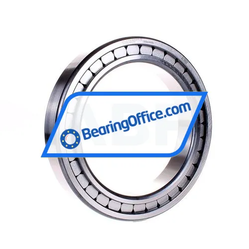 INA SL182930-B-XL-C3