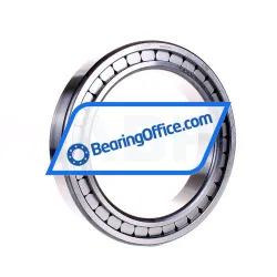 INA SL182930-B-XL-C3