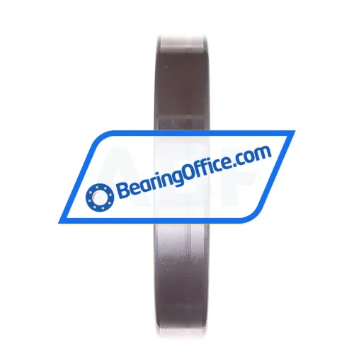 INA SL182924-B-XL bearing image 5