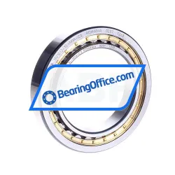 FAG NU1013-XL-M1A-C3