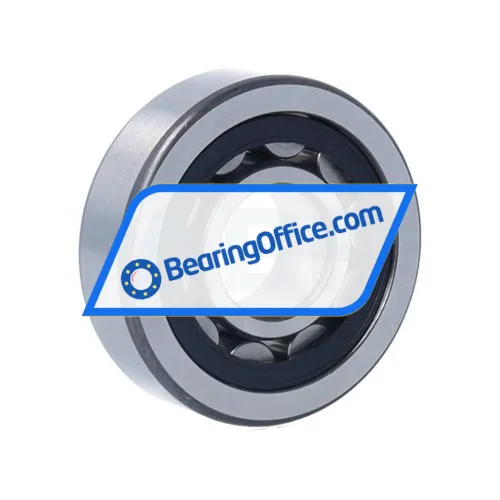 FAG NU303-E-XL-TVP2 bearing image 2