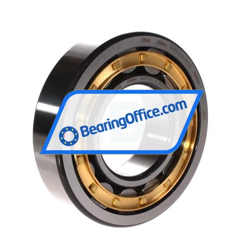 FAG NU313-E-XL-M1-C3