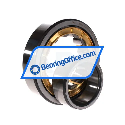 FAG NU313-E-XL-M1-C3 bearing image 2