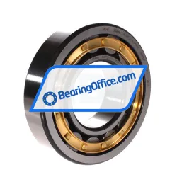 FAG NU313-E-XL-M1-C3