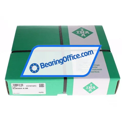 INA SL181834-A-BR bearing image 2