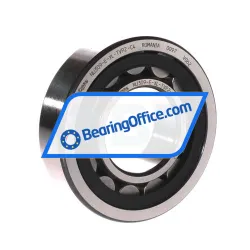 FAG NU309-E-XL-TVP2-C4