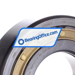 FAG NUP313-E-M1 rulman resim 2