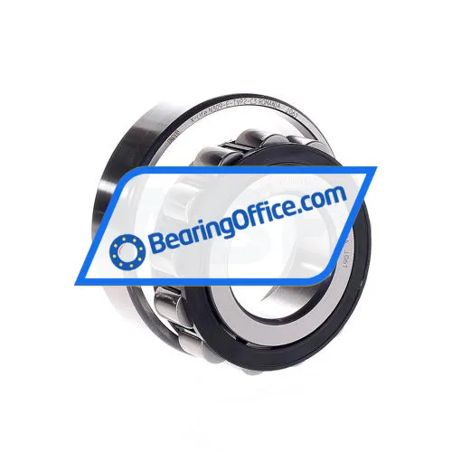 FAG N309-E-TVP2-C3 bearing image 2