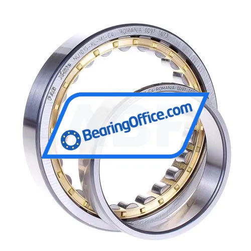 FAG NU1015-XL-M1-C4 bearing image 2