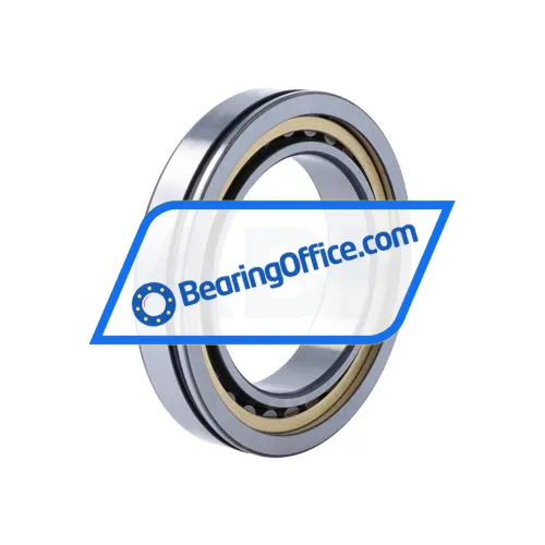 FAG NU1013-XL-N-M1A-C3 bearing image 2
