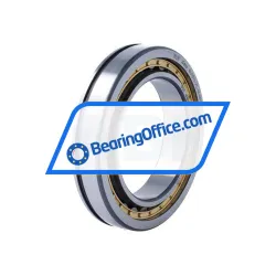 FAG NU1013-XL-N-M1A-C3