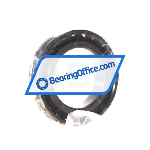FAG N1011-D-TVP-SP-XL bearing image 2