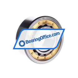 FAG NJ2311-E-XL-M1A-C4