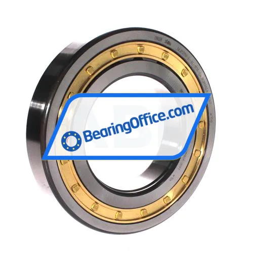 FAG NUP219-E-XL-M1A-C4