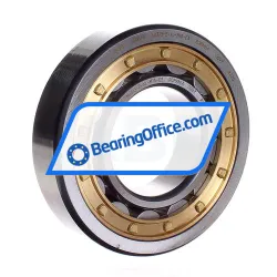 FAG NU313-E-XL-M1A-C3