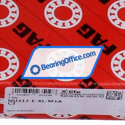 FAG NU313-E-XL-M1A-C3 rulman resim 6