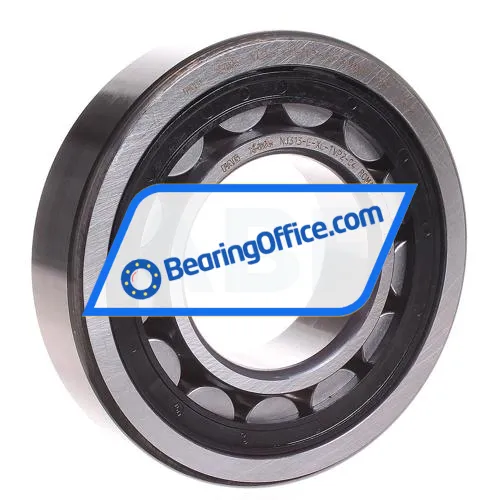 FAG NJ313-E-XL-TVP2-C4